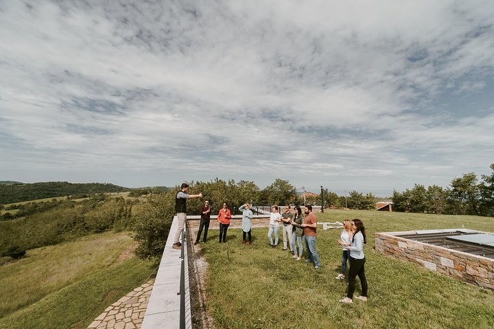 Wine Tour on the Coast - Image 4