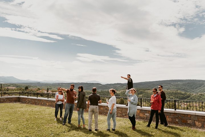 Wine Tour on the Coast - Image 3