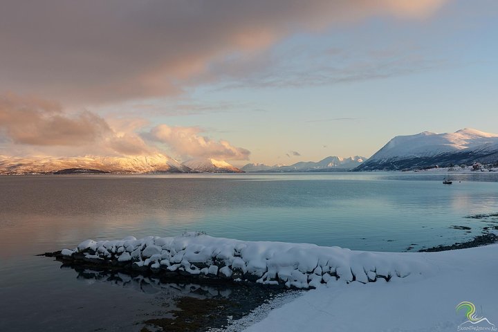 Norwegian Fjords Tour, Including Professional Photos in Tromso - Image 3