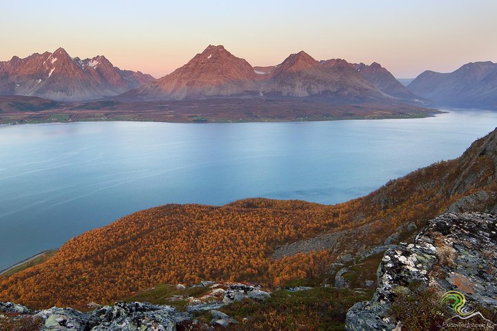 Norwegian Fjords Tour, Including Professional Photos in Tromso - Image 2