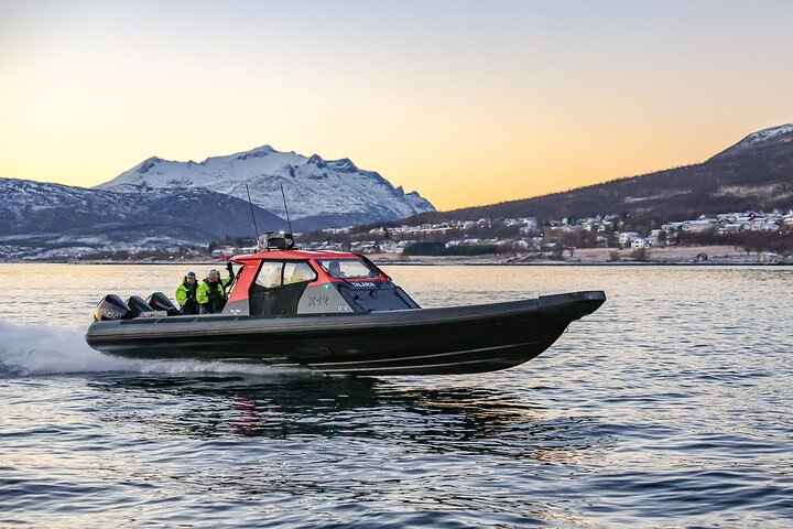 Private Cruise by High Speed RIB in Norway - Image 3
