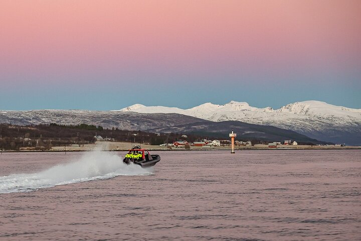 Private Cruise by High Speed RIB in Norway - Image 4