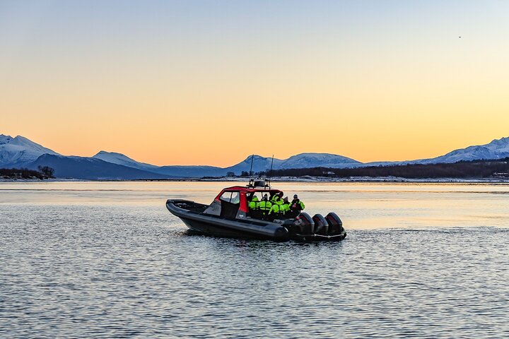 Private Cruise by High Speed RIB in Norway - Image 2