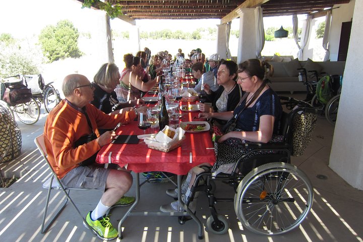 Accessible Valencia: Private, Accessible Wine Tour with Lunch - Image 2
