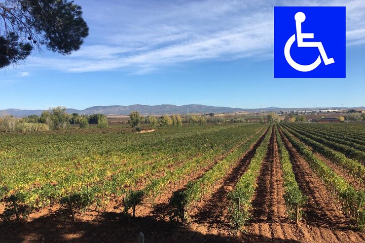 Accessible Valencia: Private, Accessible Wine Tour with Lunch - Image 1