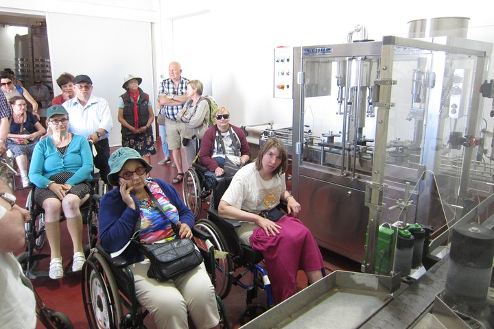 Accessible Valencia: Private, Accessible Wine Tour with Lunch - Image 4