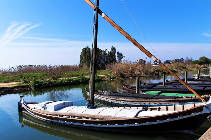 Albufera: Lake, Paella and Birdwatching - Image 5