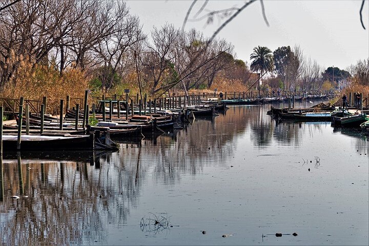 Albufera: Lake, Paella and Birdwatching - Image 4