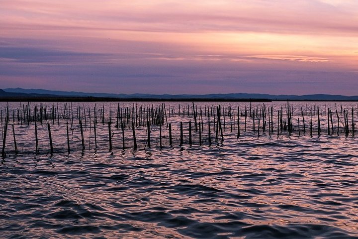 Albufera: Lake, Paella and Birdwatching - Image 1