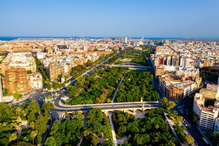 Full Day Private Shore Tour in Valencia from Valencia Cruise Port - Image 2