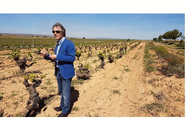 Requena Half-Day Private Vineyards & Premium Wine Tastings Tour - Image 2