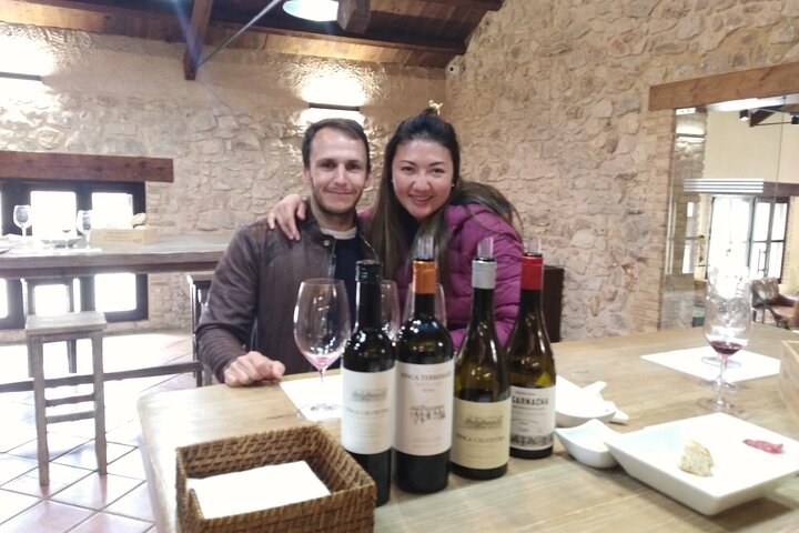 Requena Half-Day Private Vineyards & Premium Wine Tastings Tour - Image 1