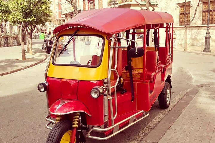 Route through the City of Turia Valencia in Tuk-Tuk - Image 1