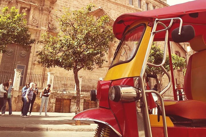 Route through the City of Turia Valencia in Tuk-Tuk - Image 3