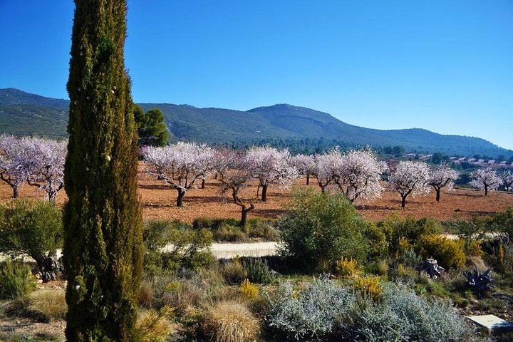 Small Group - Half-Day Wine Tour - Image 3