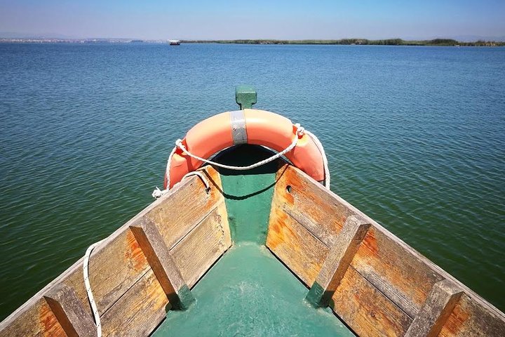 The Albufera Natural Park Private Tour from Valencia with transport - Image 5
