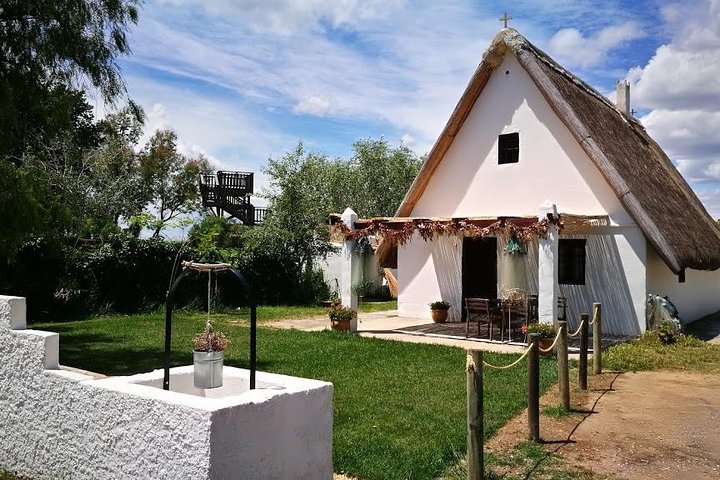The Albufera Natural Park Private Tour from Valencia with transport - Image 2