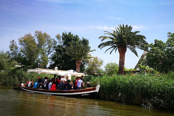 The Albufera Natural Park Private Tour from Valencia with transport - Image 4