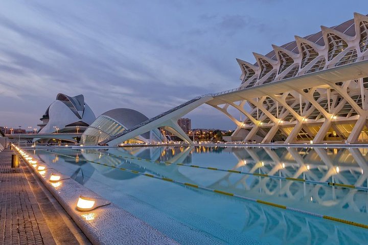 Valencia Private Tour with Hotel or Cruise Port Pick up  - Image 3