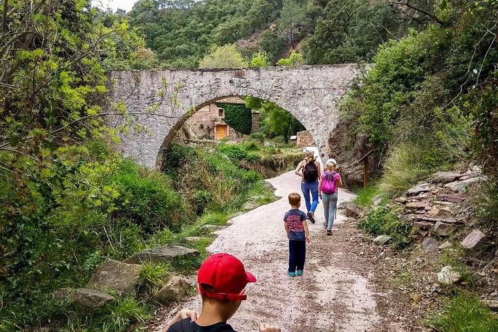 Valencian Caves with Boat Ride and Sagunto Private Day Trip - Image 3