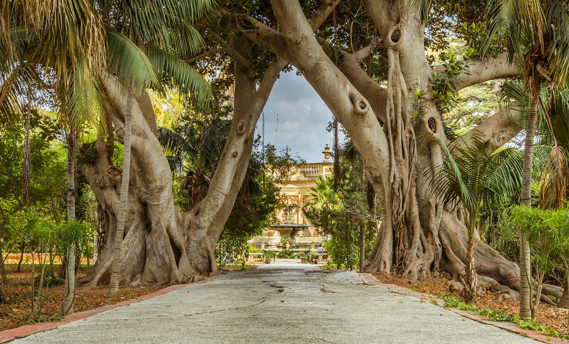 Rabat and Mdina - Image 1