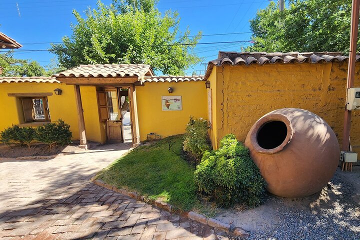 Full-day Portillo Ski Center and Visit Winery from Valparaiso - Image 5