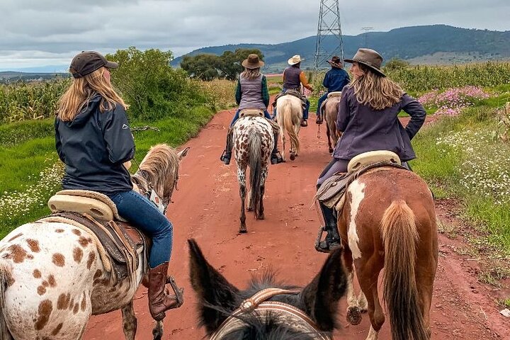 Horse Riding Surfing and Sand Dunes in Concon From Valparaiso - Image 4