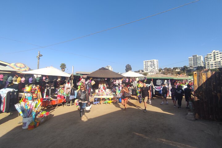 Horse Riding Surfing and Sand Dunes in Concon From Valparaiso - Image 3