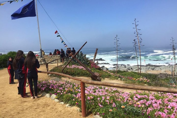 Isla Negra Museum Tour And Casa Blanca Valley Wine Tour (PRIVATE) - Image 5