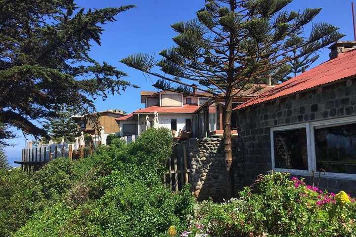 Isla Negra Museum Tour And Casa Blanca Valley Wine Tour (PRIVATE) - Image 4