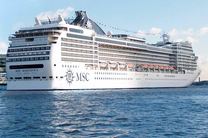 Pick up at the Pier and Valparaiso -Viña del Mar and transfer to the Airport - Image 1