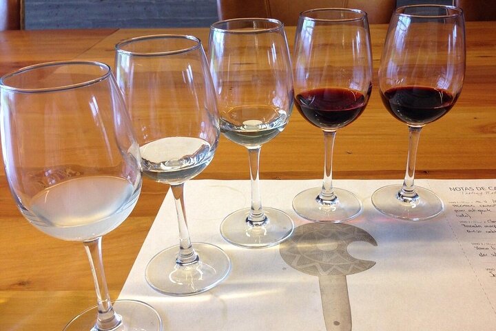 Pick up in Valparaiso Port visit Quintay Winery & Transfer Option - Image 5