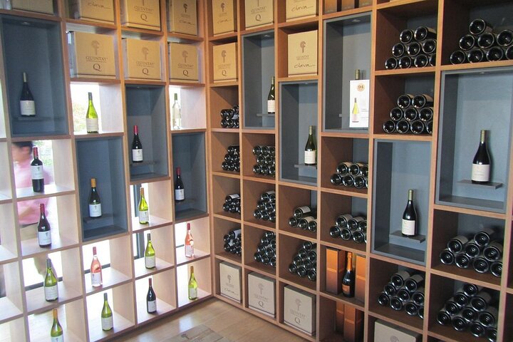 Pick up in Valparaiso Port visit Quintay Winery & Transfer Option - Image 4