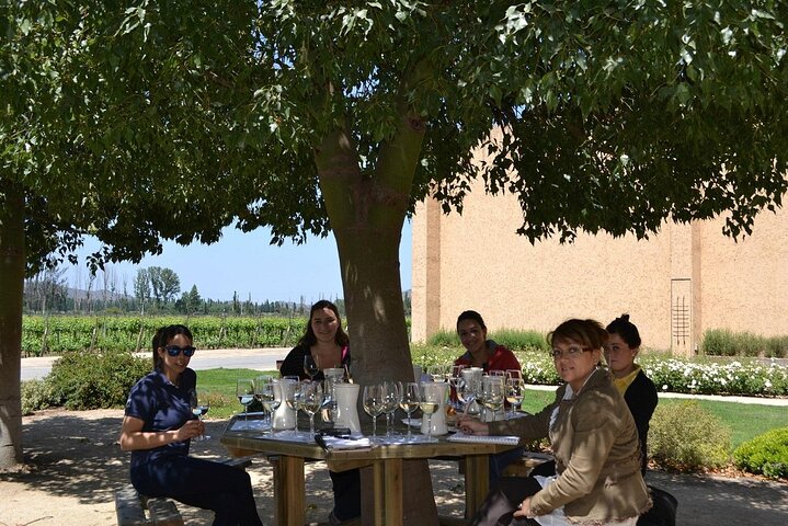 Pick up Valparaiso Visit William Cole Winery & Transfer to Hotel - Image 2
