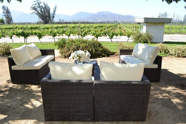 Pick up Valparaiso Visit William Cole Winery & Transfer to Hotel - Image 5