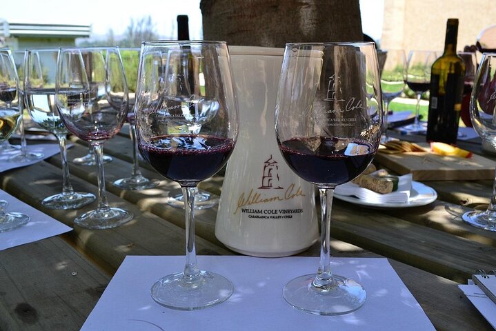 Pick up Valparaiso Visit William Cole Winery & Transfer to Hotel - Image 4