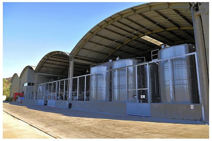 Pick up Valparaiso Visit William Cole Winery & Transfer to Hotel - Image 3