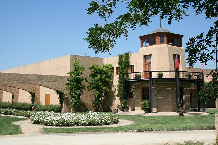 Pick up Valparaiso Visit William Cole Winery & Transfer to Hotel - Image 1