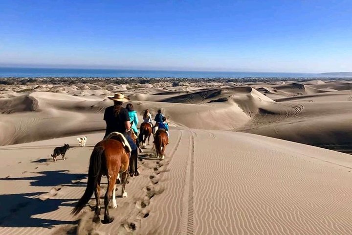 Private Shore Excursion From Valparaiso: Beach Horseback Ride & Viña del Mar - Image 1