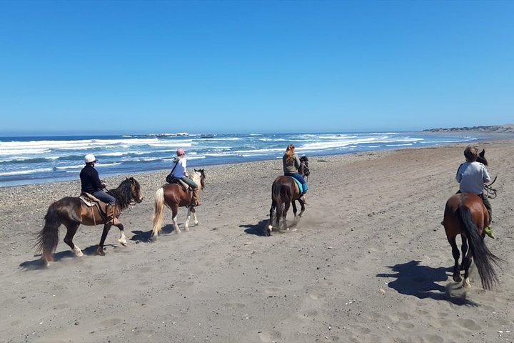 Private Shore Excursion From Valparaiso: Beach Horseback Ride & Viña del Mar - Image 5
