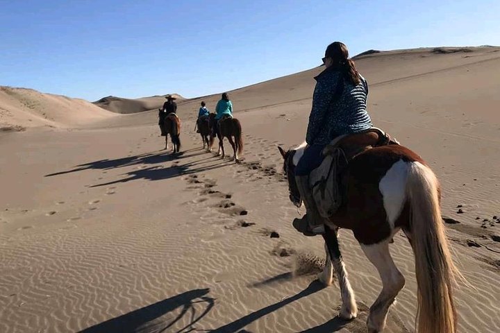 Private Shore Excursion From Valparaiso: Beach Horseback Ride & Viña del Mar - Image 2