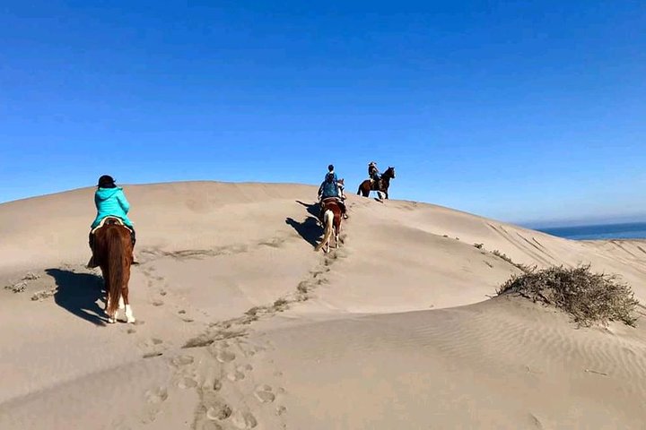 Private Shore Excursion From Valparaiso: Beach Horseback Ride & Viña del Mar - Image 4