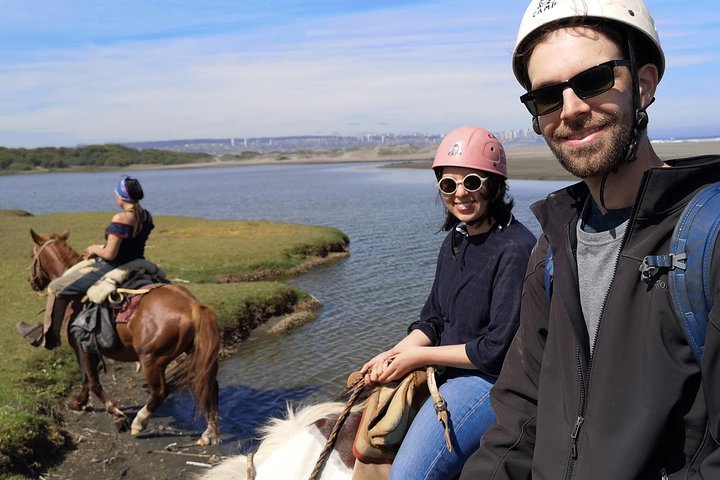 Private Shore Excursion From Valparaiso: Beach Horseback Ride & Viña del Mar - Image 3