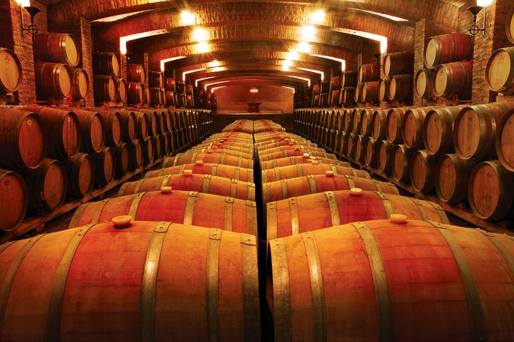 Private Valparaiso Port Pre-Post Cruise Santiago City Tour and Undurraga Winery - Image 2