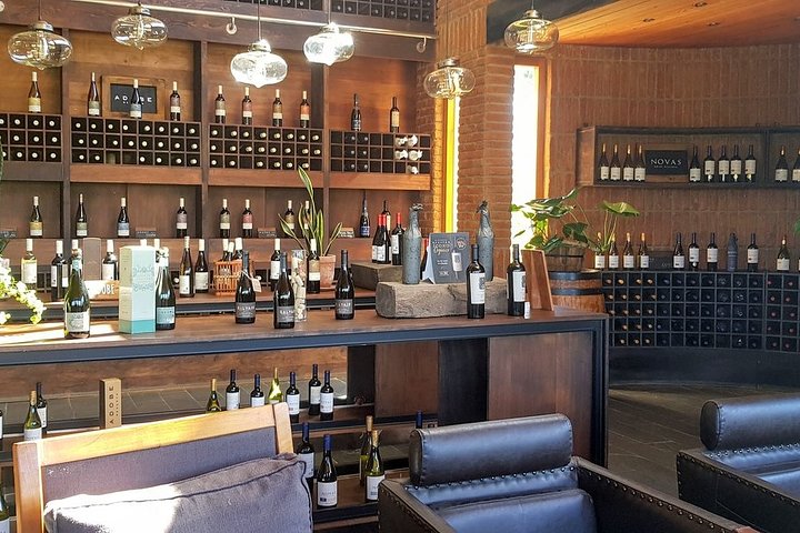 Private Wine Tour in Valparaíso - Image 5