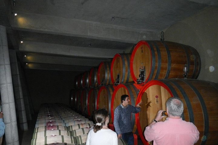 Private Wine Tour in Valparaíso - Image 1