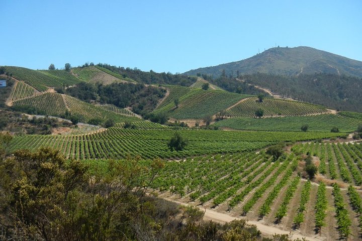 Private Wine Tour in Valparaíso - Image 2