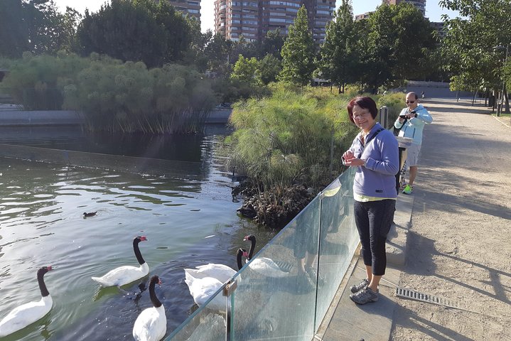Small group transfer from Valparaiso/S.Antonio+Tour in Santiago - Image 3