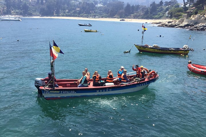 Wild Penguins,Birds,Sandboard,Chilean Drinks & Food/From Valpo - Image 2