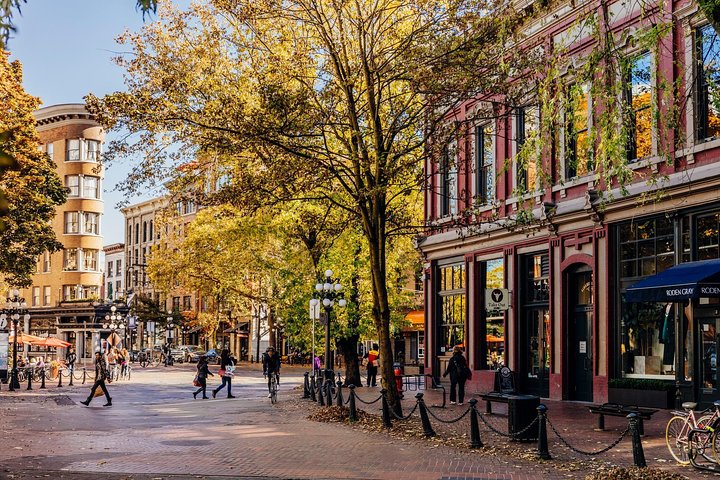 3 hours Accessible Private Tour - Vancouver City Highlight (up to 4 passengers) - Image 3